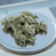How to Get a Medical Marijuana Card